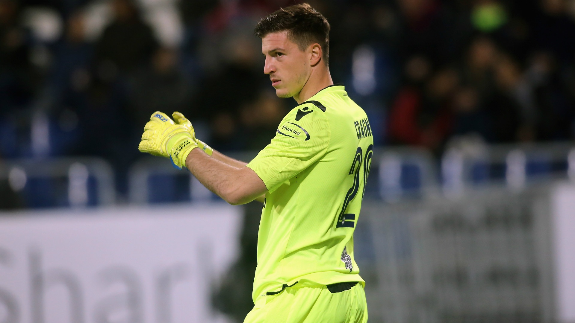 才华横溢的 才华横溢的