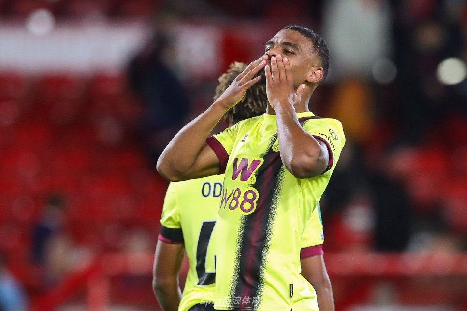 种子的身份 种子的身份